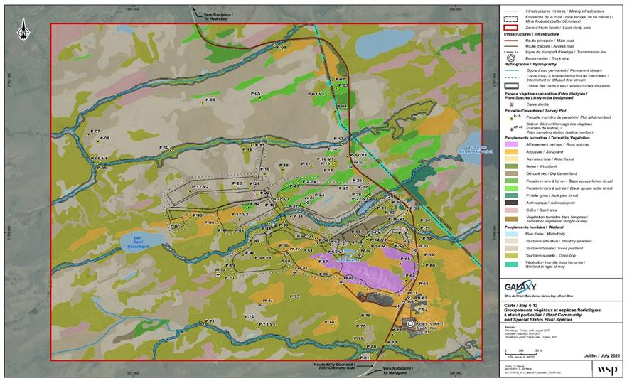 Figure 11: Plant Groups, Including Wetlands